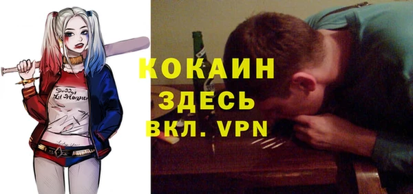 стафф Гусев